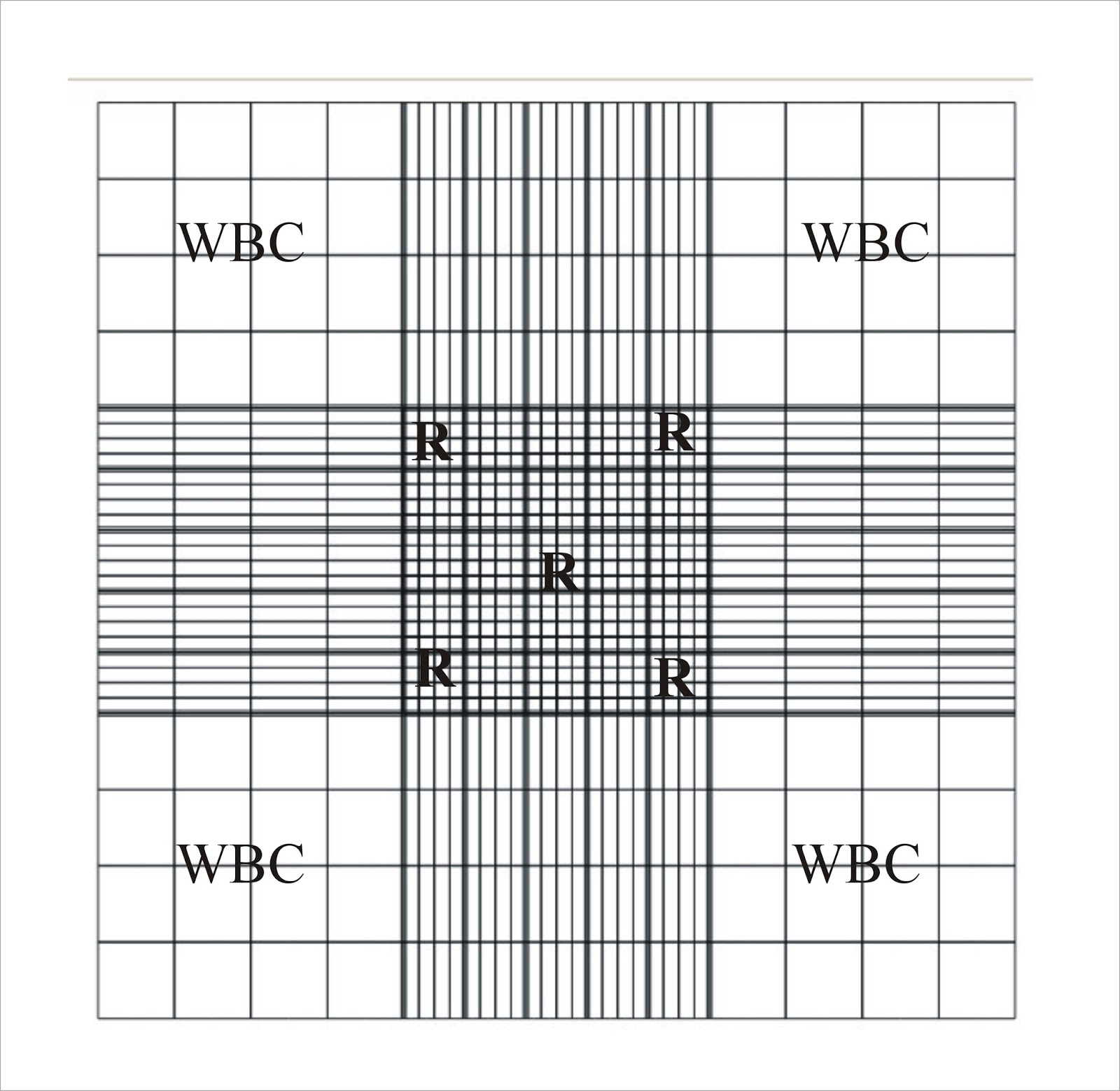 Manually TLC/Total W.B.C.Count Test by