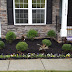 Black Mulch Landscaping Pictures
