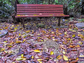 park bench,wooded area