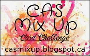 CAS Mixup Challenge