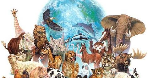 LA ZOOLOGIA: ¿Que es la Zoologia?