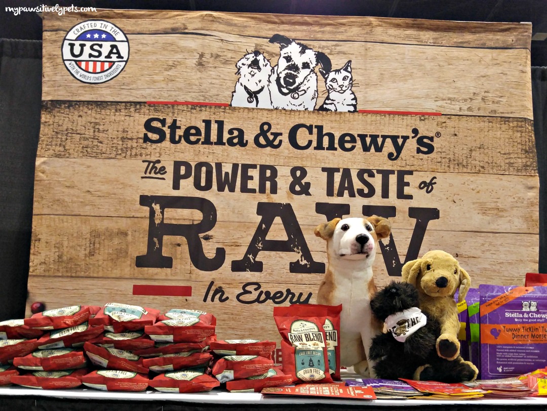 New Stella & Chewy's Raw Coated Kibble Giveaway Pawsitively Pets