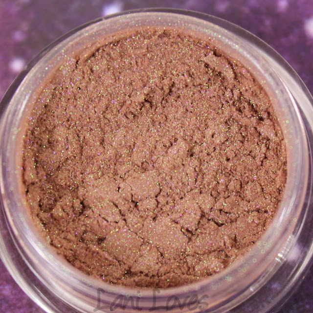 Notoriously Morbid Lizard Man Eyeshadow Swatches & Review