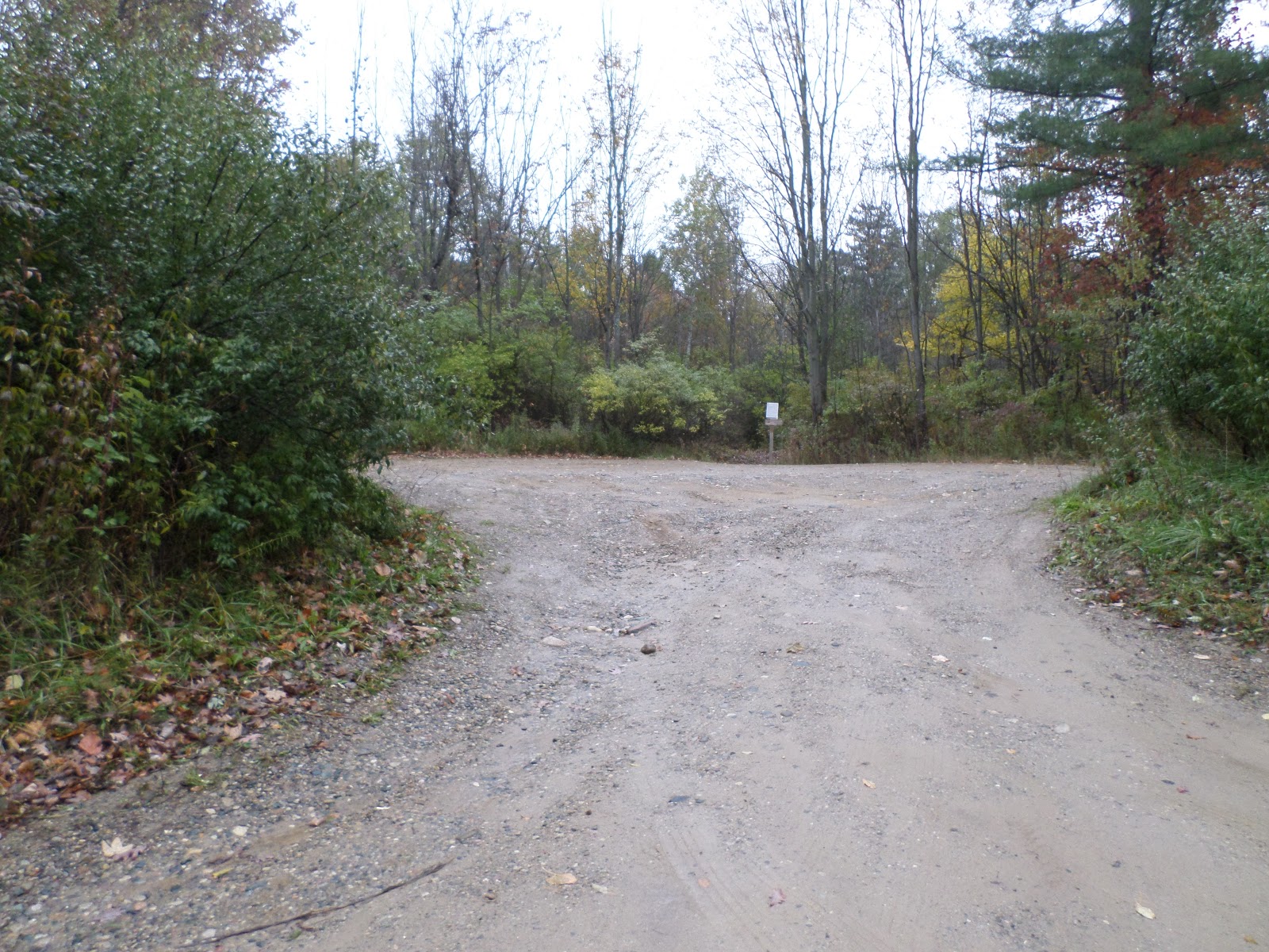 Mitten Tracks Murphy Lake State Game Area, part two Murphy Lake Rd