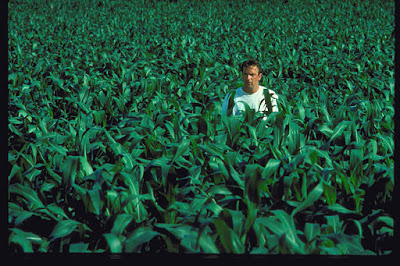 Field Of Dreams 1989 Kevin Costner Image 3