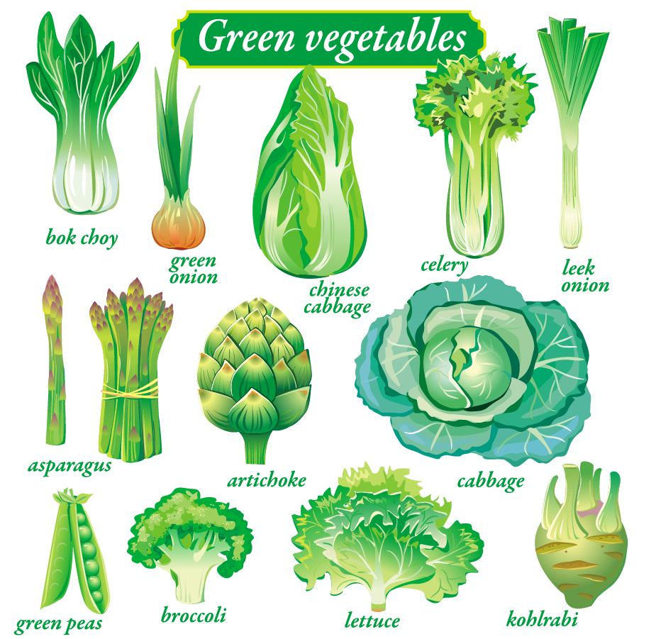 leafy vegetables clipart - photo #4