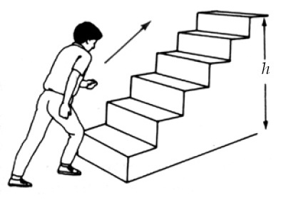 Image Result For Contoh Tangga Image Result For Contoh Tangga