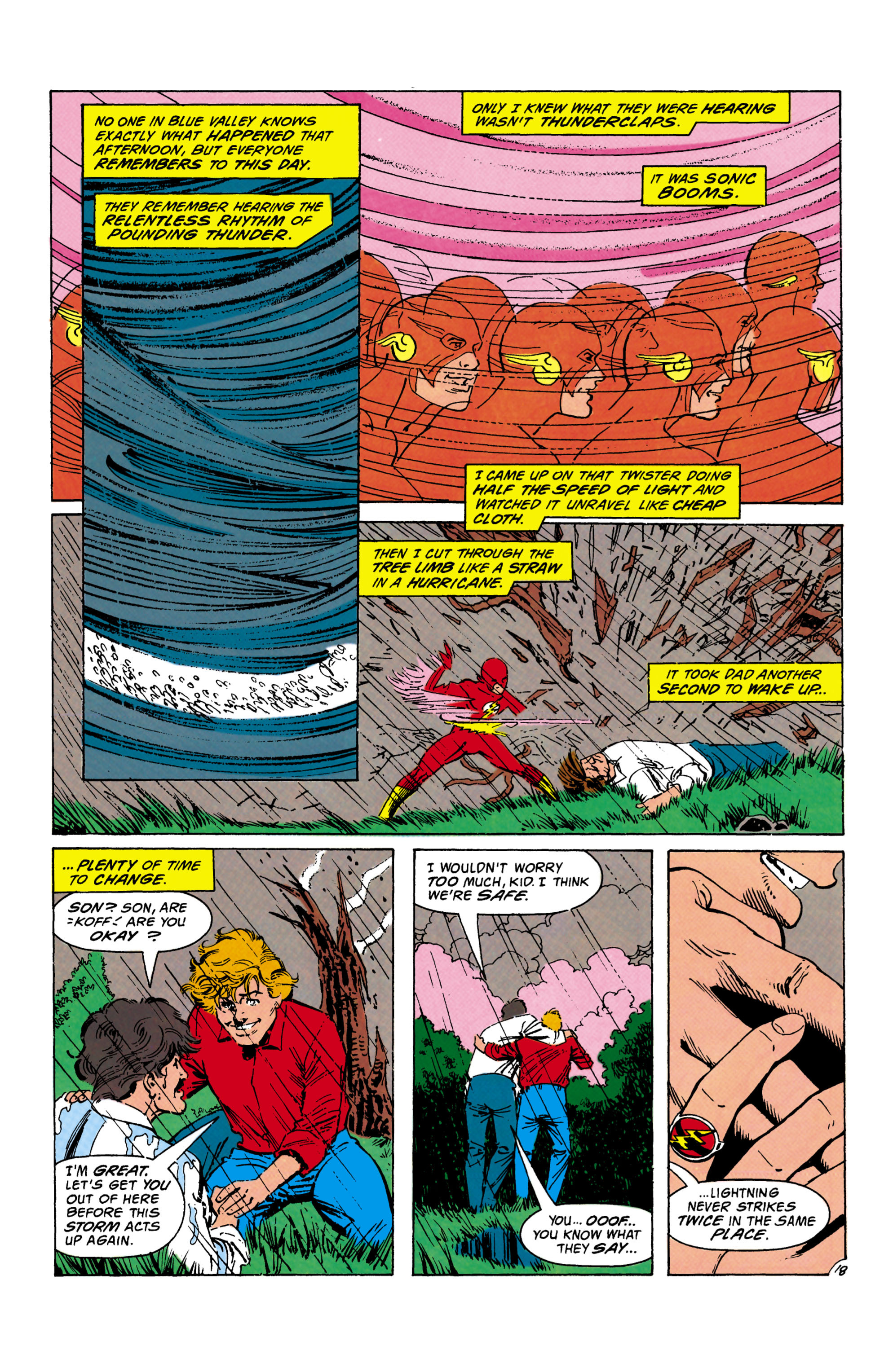 The Flash (1987) issue 65 - Page 19