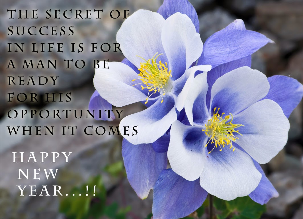 New Year 2014 Greetings eCards Free Download 2014 Merry Christmas