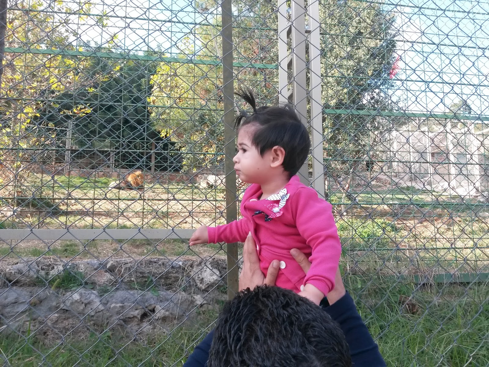Bebeğim GEZMEYİ KİRLENMEYİ TOZU TOPRAĞI ÇOK SEVİYORUZ BİZ )