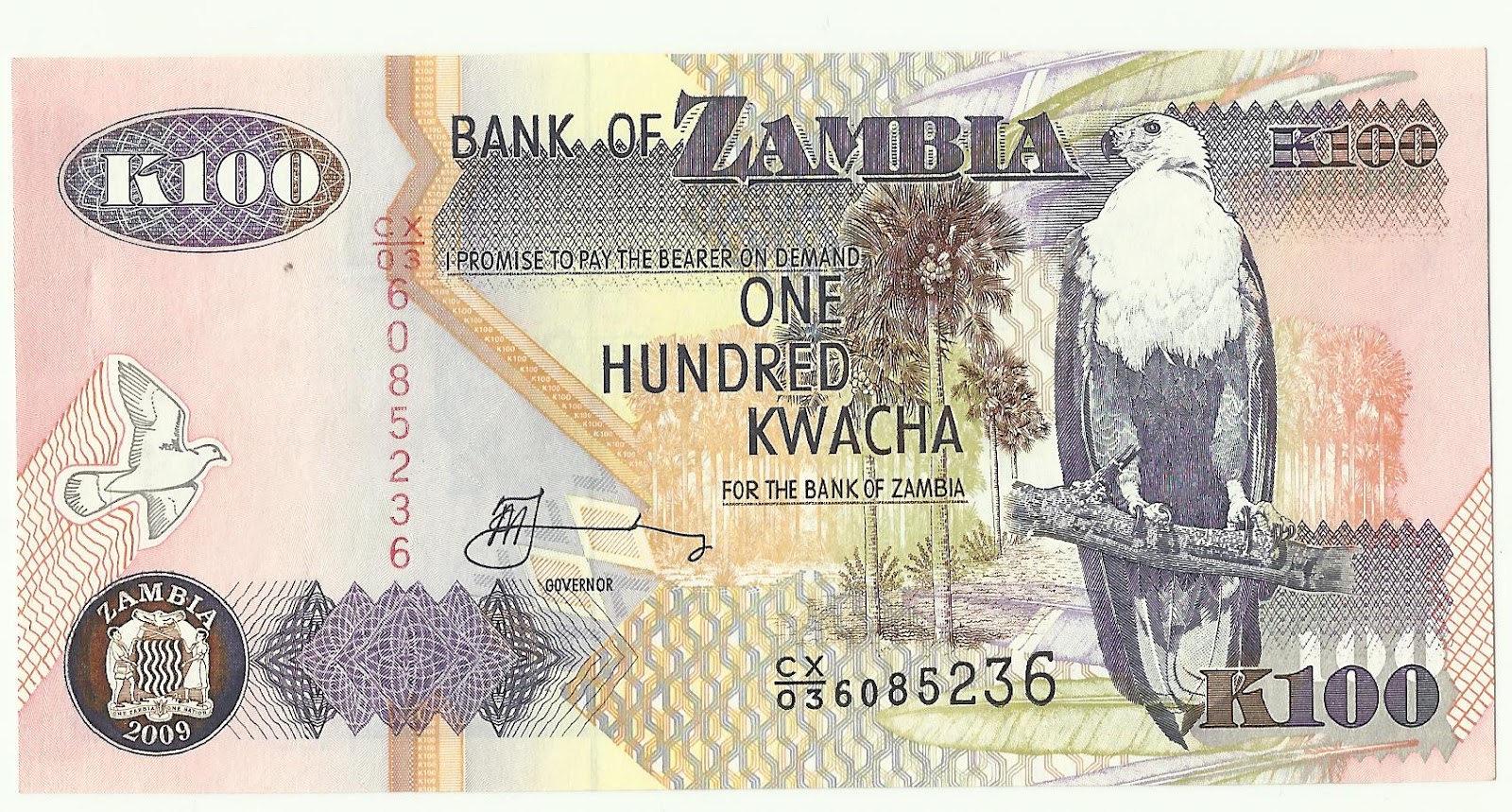 Coin n Currency Collection Banknotes of Zambia