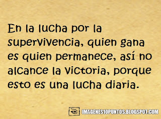 frases para no rendirse frases para no rendirse