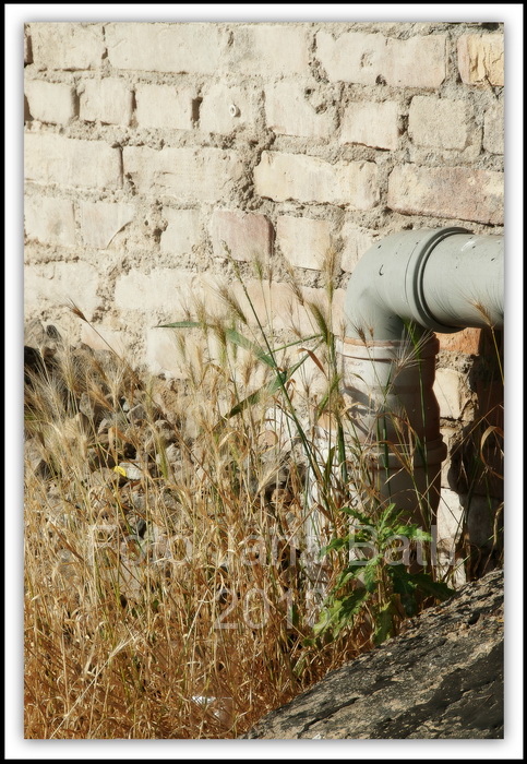 Verborgene Orte In Rostock Hidden Places Teil 1