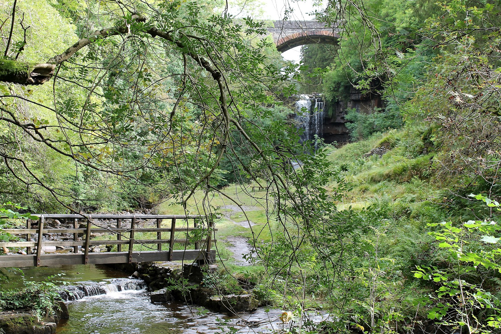 View from the edge Ashgill Force