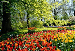 nature paintings famous easy abstract scenes canvas environment beauty scenery pintings wallpapers