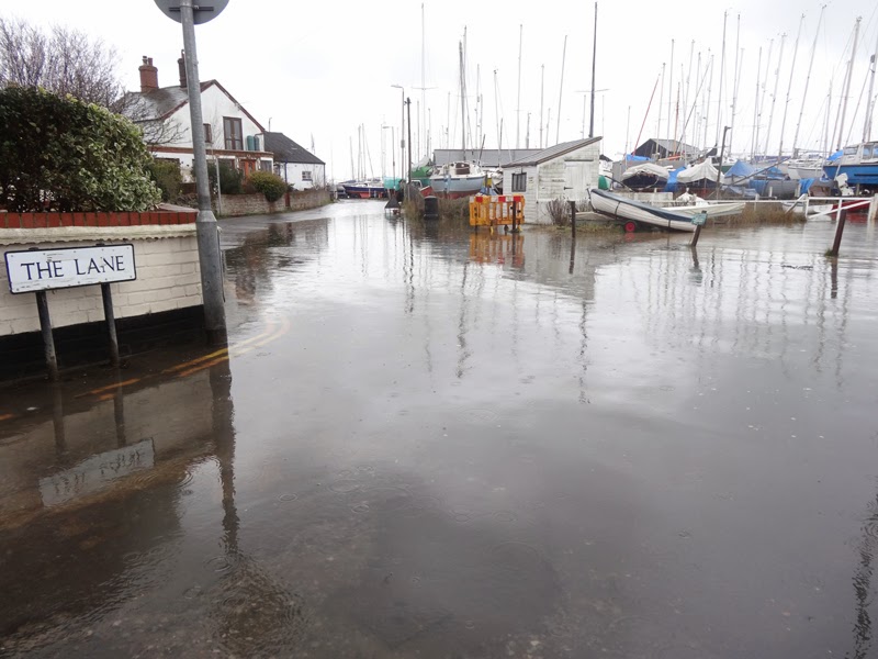 MERSEA WILDLIFE HIGH TIDES mersea-wildlife-high-tides