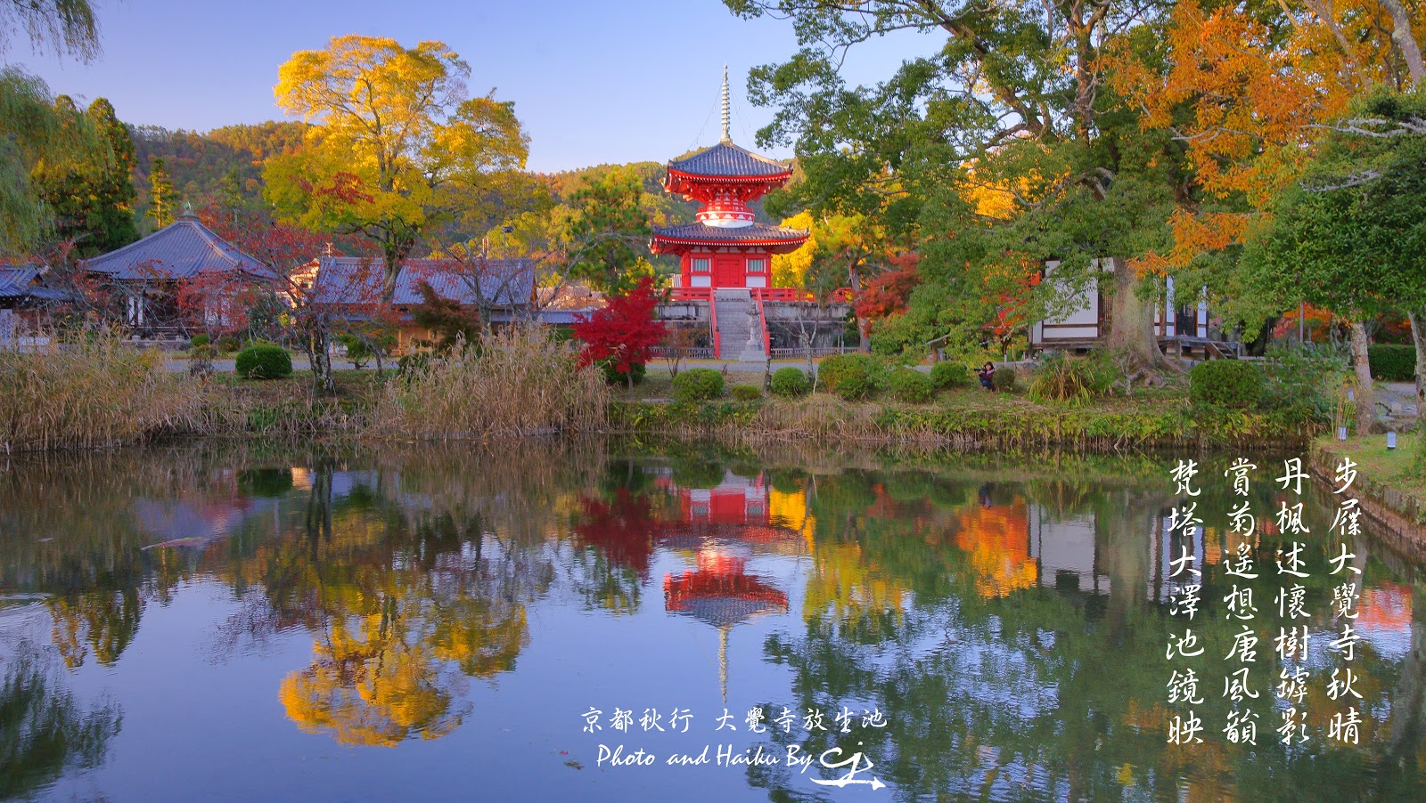 京都秋行大覺寺daikakuji Temple Cristaljuan的攝影視界 痞客邦