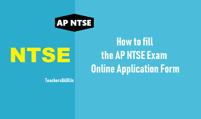 How to Fill AP NTSE Online Application Form, AP National Talent Search Exam 2019 how to fill ap ntse online application form,user guide for ap national talent search exam 2019,instructions for filling ntse online application form,how to apply for ntse 2019