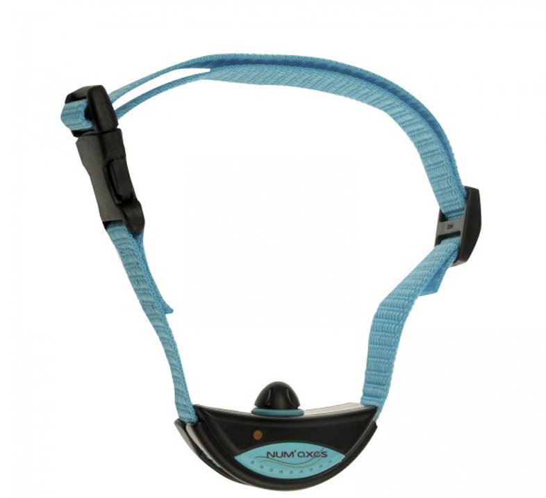 NUM'axes IKI Voice Dog Collar Review Australian Dog Lover