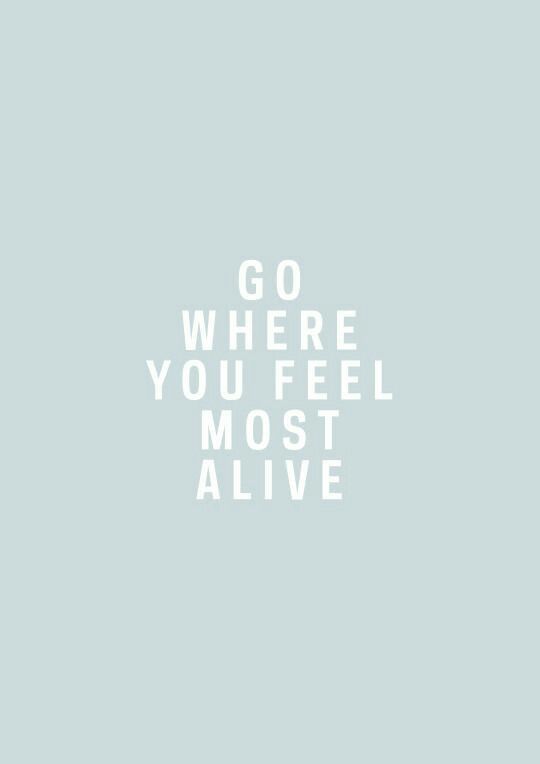 Calluna Magazin Februar 2016