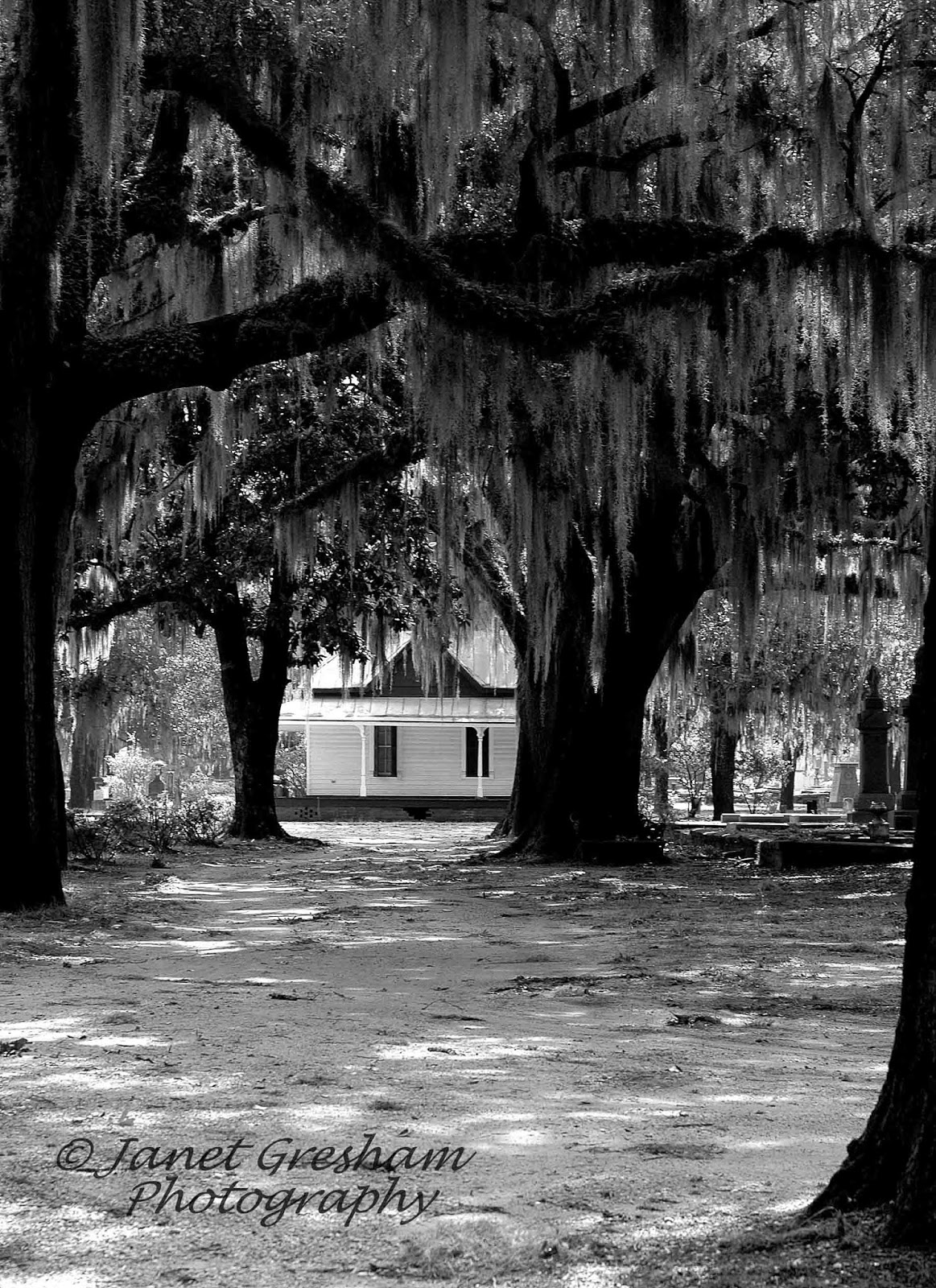 Selma, Ala. Daily Photo The Spring House