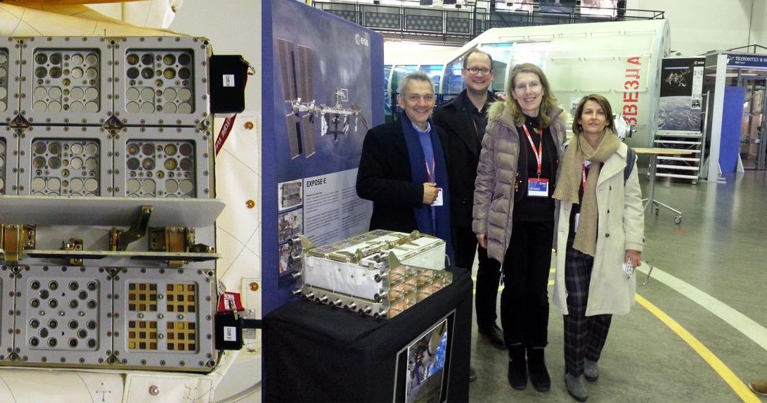 Earth and Space News Mars Tolerant Antarctic Fungi Survive on International Space Station