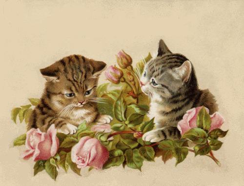 vintage kitten clipart - photo #22