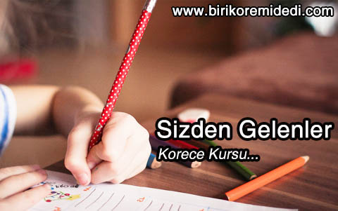 Istanbul Korece Kursu