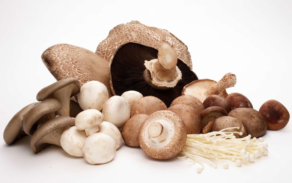 Ankh Rah's Healthy Living Guide Are Mushrooms Healthy? Here's What Experts Say!