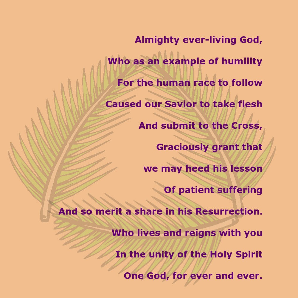 Daily Homilies Palm Sunday of the Lord's Passion