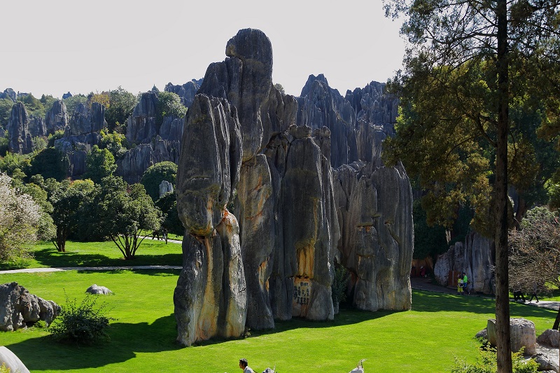Stone Forest, China - Over 270 Million Years Old Forest Of Stone