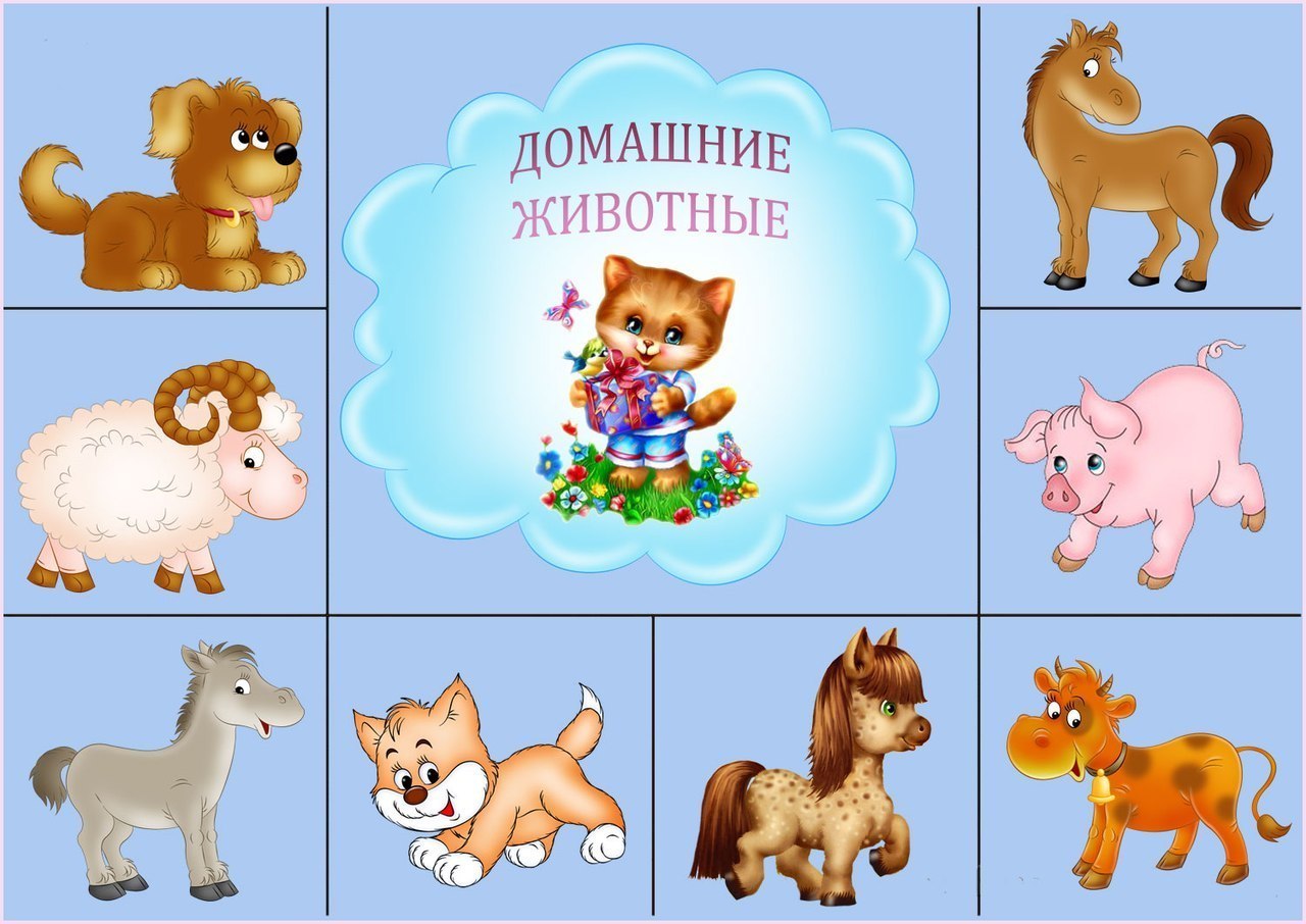 Ребенок игра одним словом. Карточки с животными для детей. Карточки с изображением животных для детей. Домашних животных для детей. Изображения домашних животных для детей.