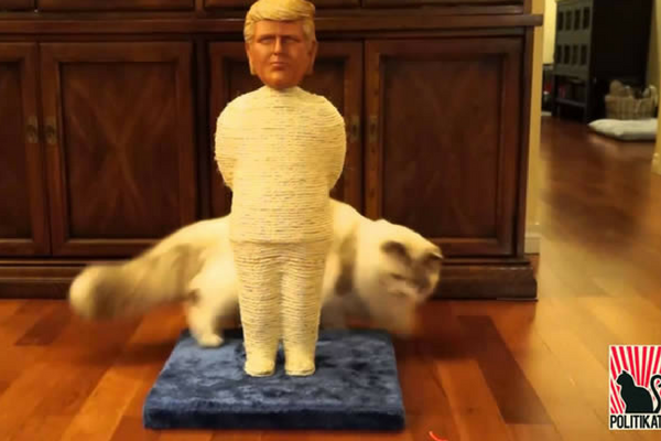Donald Trump Dapat Donald Trump Dapat
