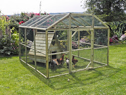 proof hen predator fancy houses pen chicken fox coops flyte runs