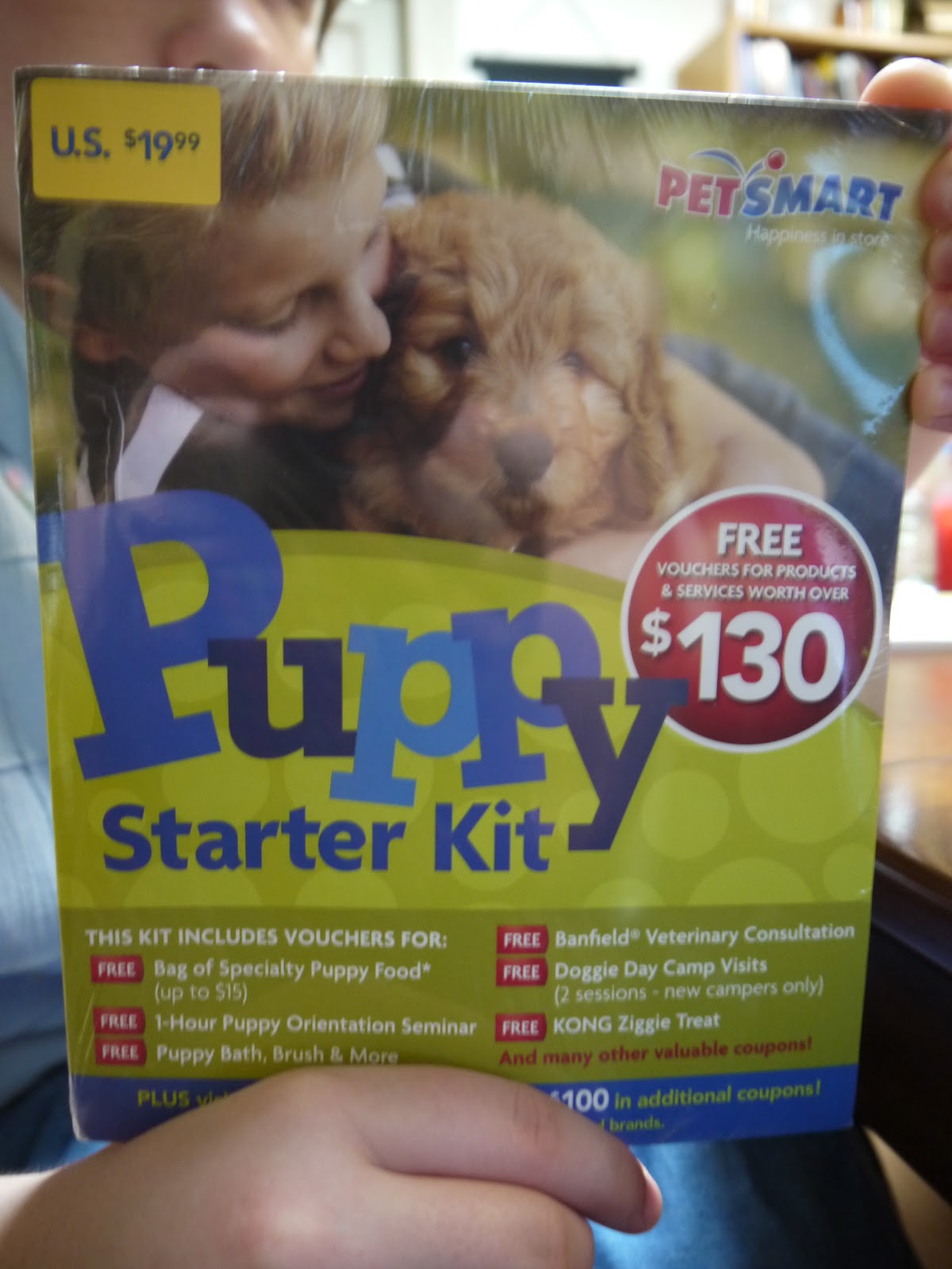 dog first aid kit petsmart