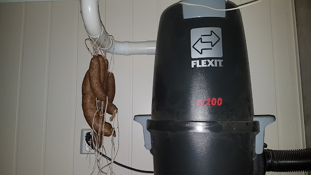 bilder av nakne kvinner pikk extender leketøy bilder av nakne kvinner pikk extender leketøy