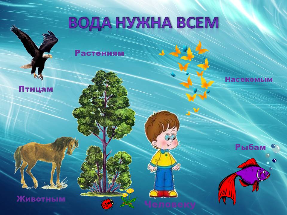 Ознакомление С Окружающим Миром Картинки Для Детей — Картинки фотографии