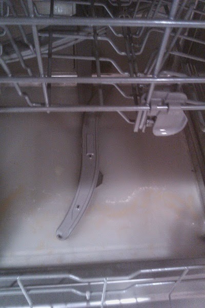 Bosch Dishwasher not draining at end of cycle ~ BOSCH dishwasher repair