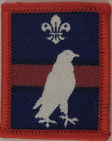 falcon badge scout patrol