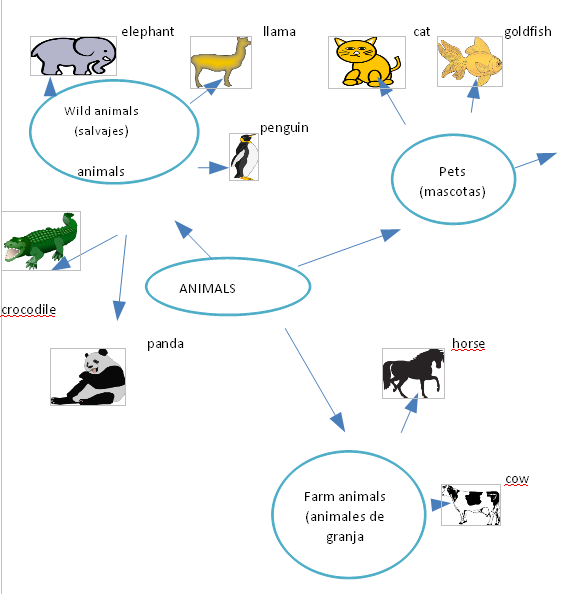 Ardilla En Ingles Como Se Escribe