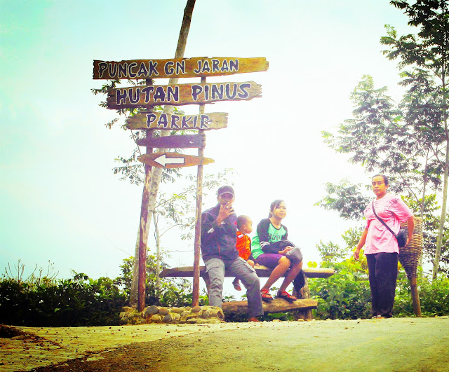 Kebun Teh Nglinggo Wisata Terkenal Samigaluh, Kulon Progo ...