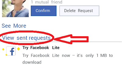 Sent Friend Request Sent Friend Request
