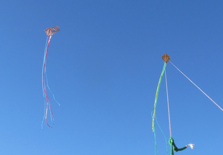 Flying Fish Kiting Team 9 Trlbys and 9 Aces