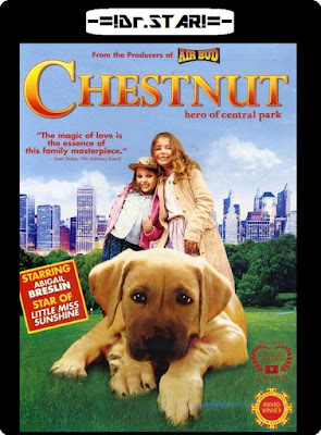 Chestnut Hero of Central Park 2004 Dual Audio HDTV 480p 300Mb