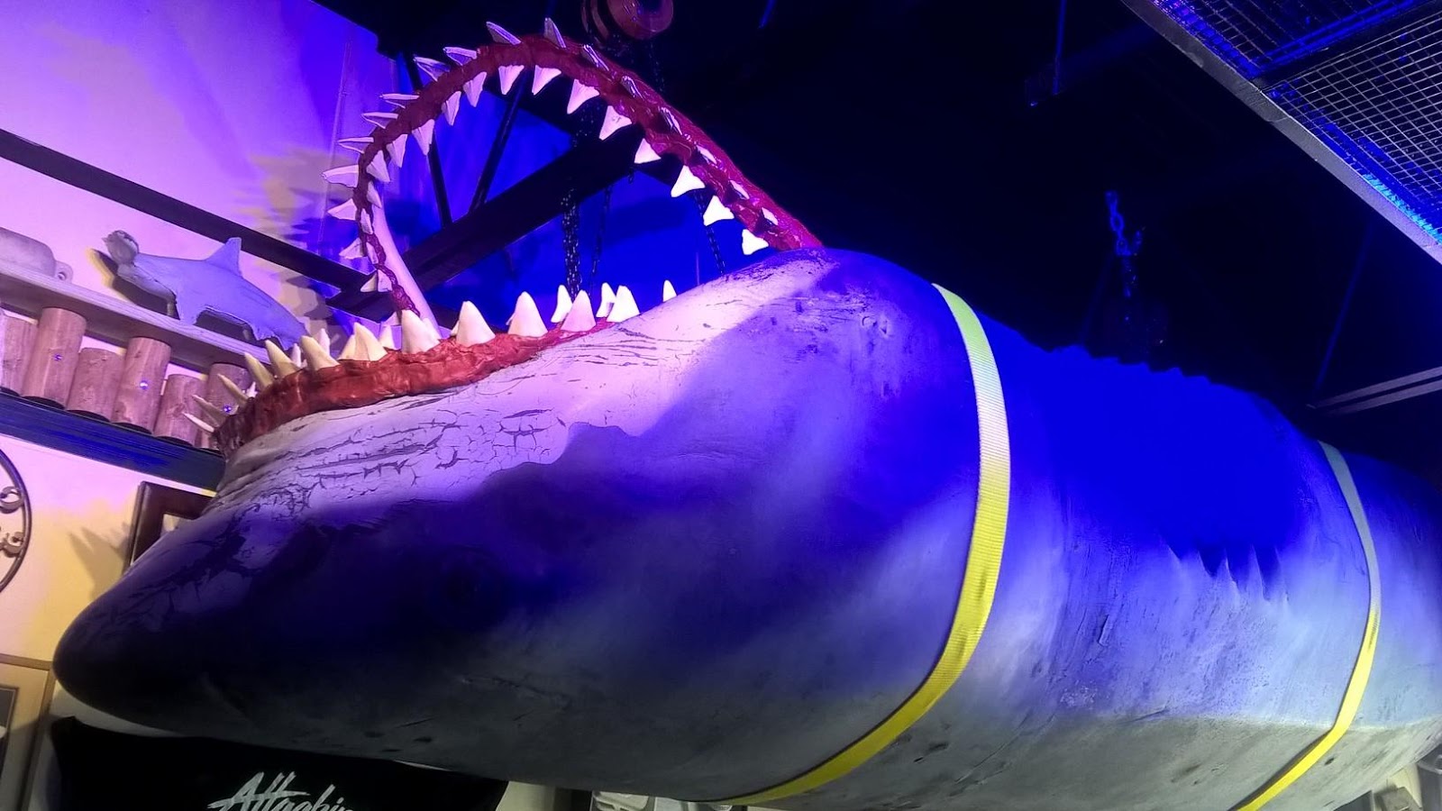 Jaws Mechanical Shark