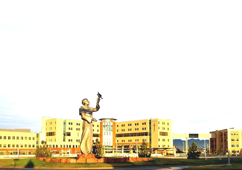Penrose Hospital Saint Francis Hospital Colorado Springs