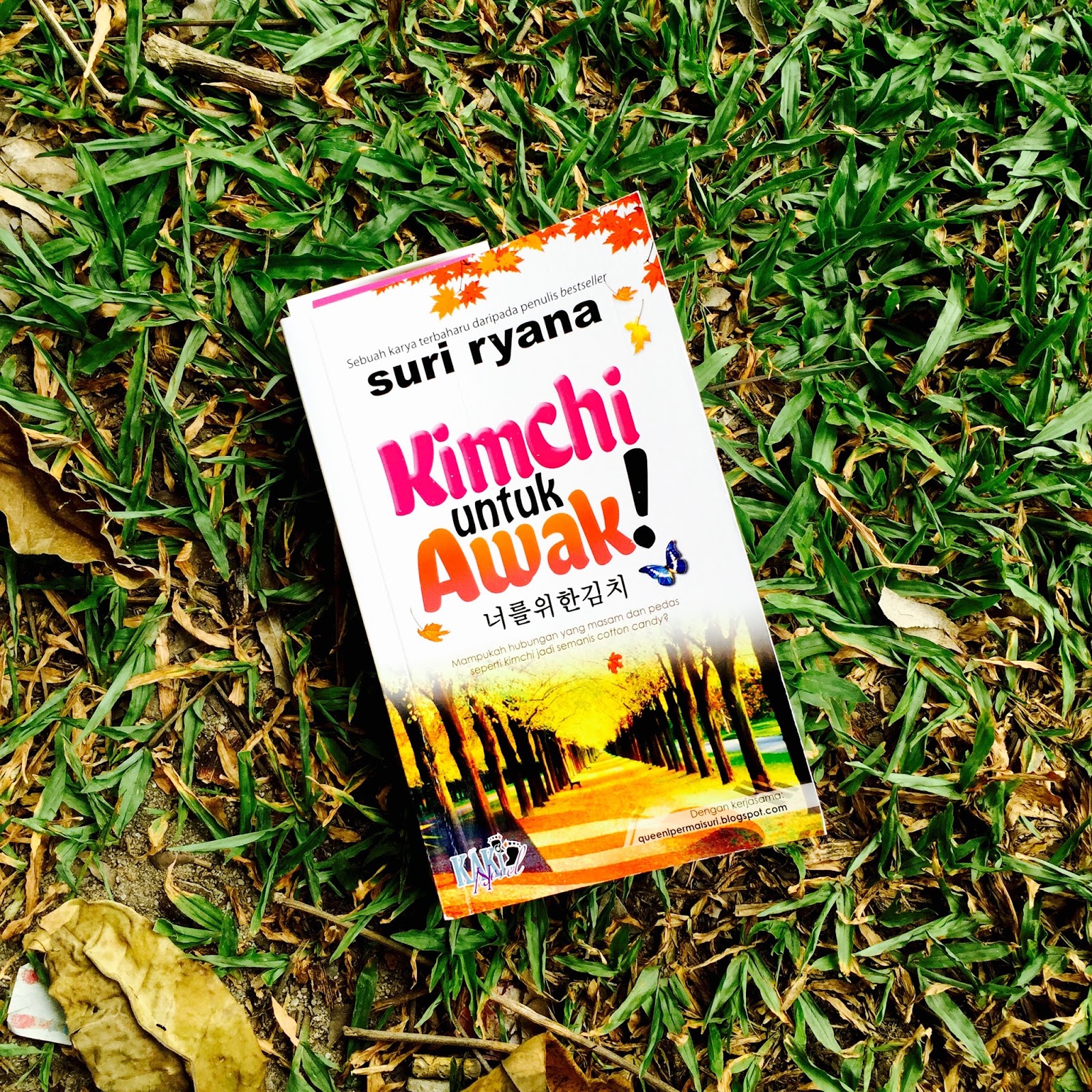 Review Novel Kimchi Untuk Awak Sambil Mengimbau Kenangan Di Korea Siqahiqa