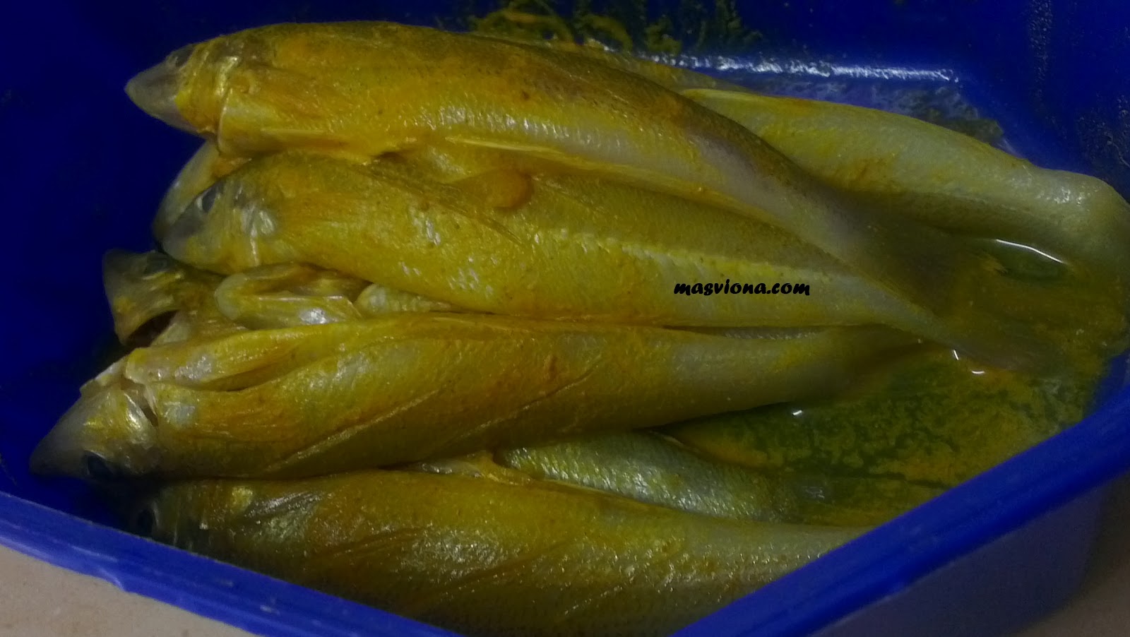 Ikan Bulus Not Bilis 1st Time Try There S Only 1 Masviona Evergreen