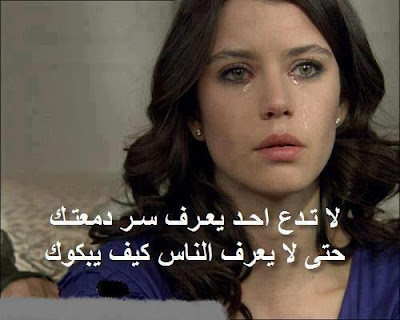 shof_5681a1da0decfcc