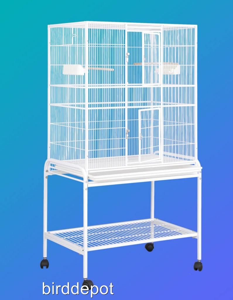 Bird In Everything Love Birds Cage